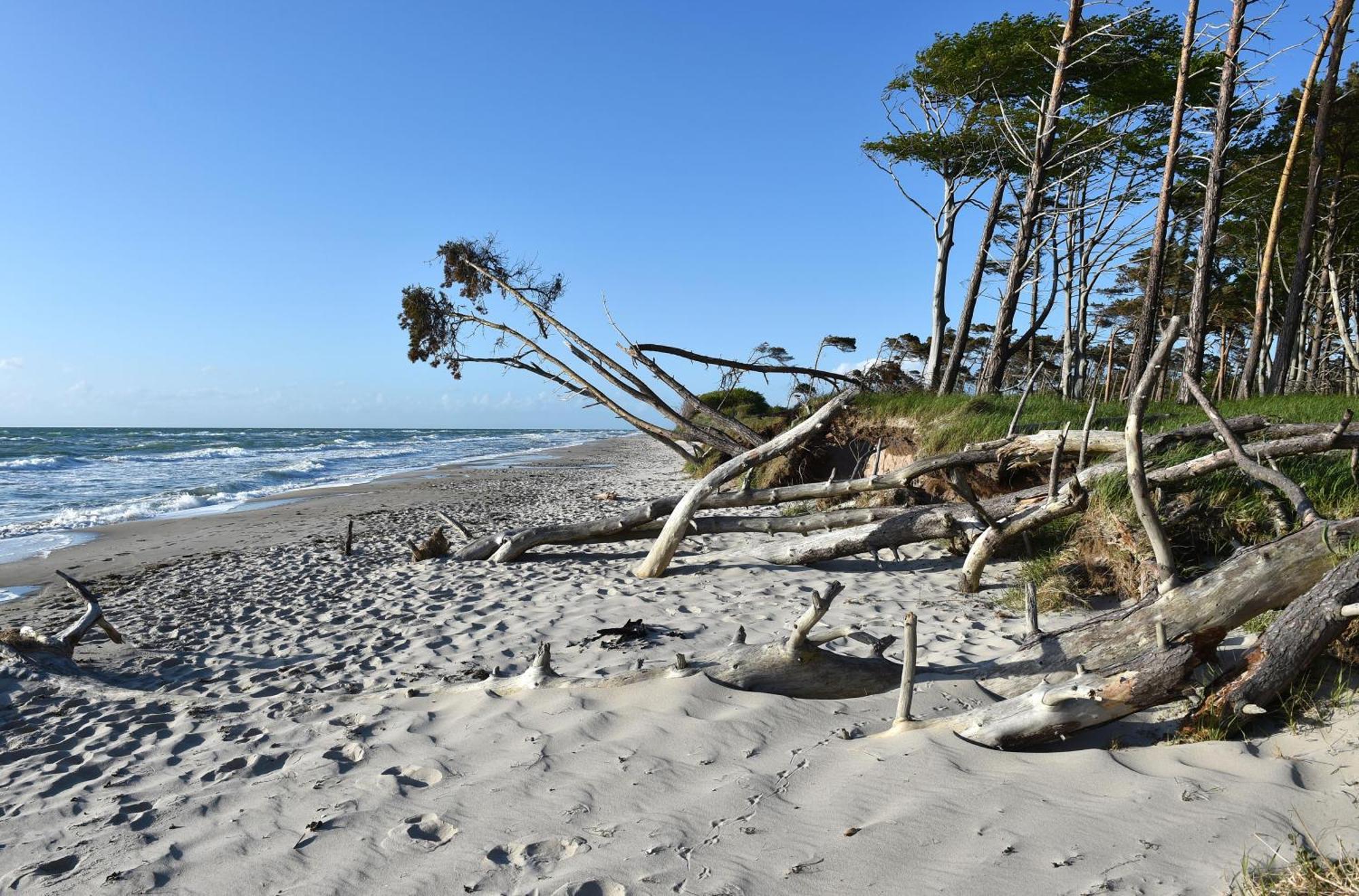 Strand Zingst Ngoại thất bức ảnh
