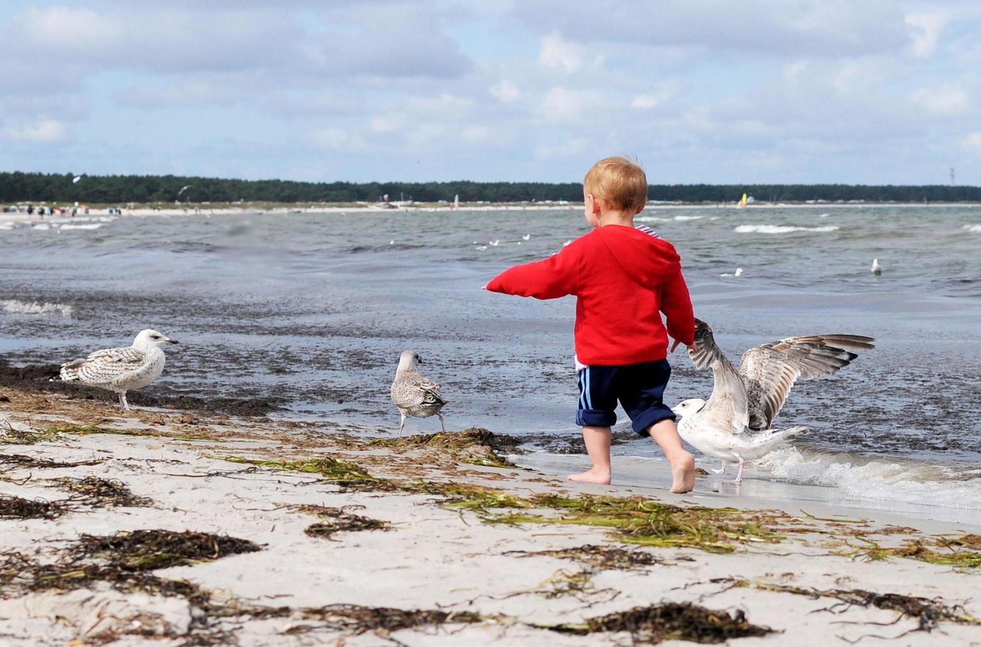 Strand Zingst Ngoại thất bức ảnh